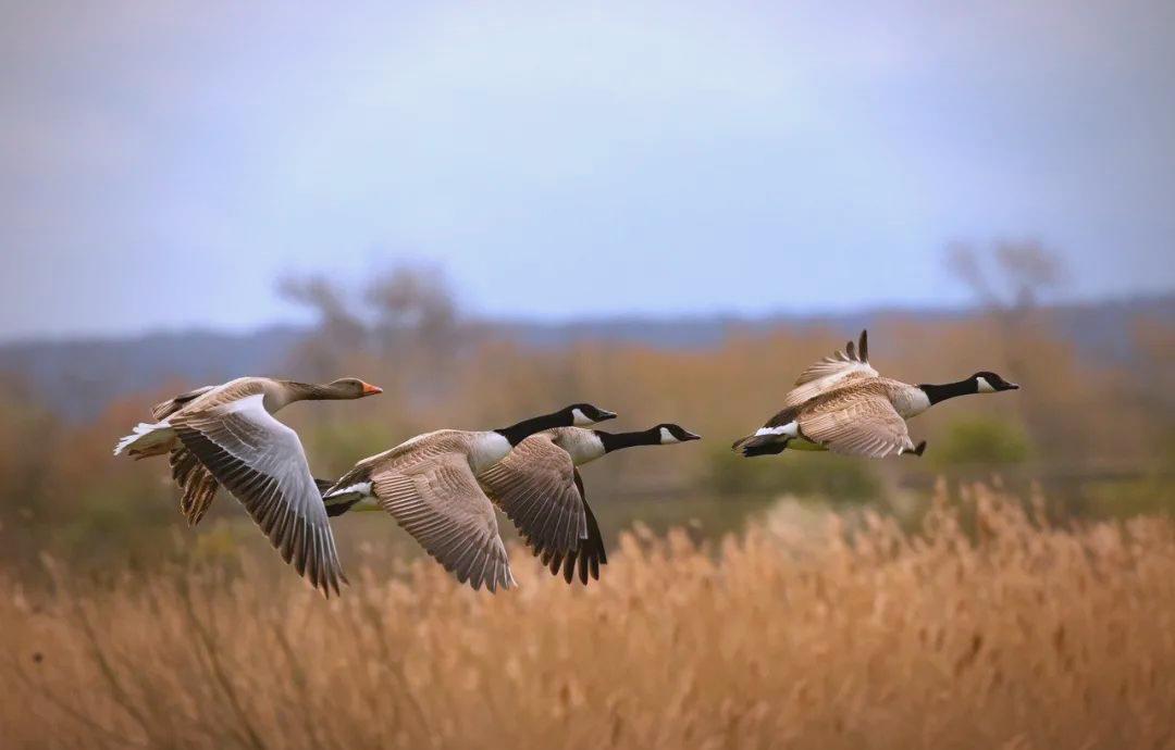 免费证件照制作、证件照换底色小程序分享